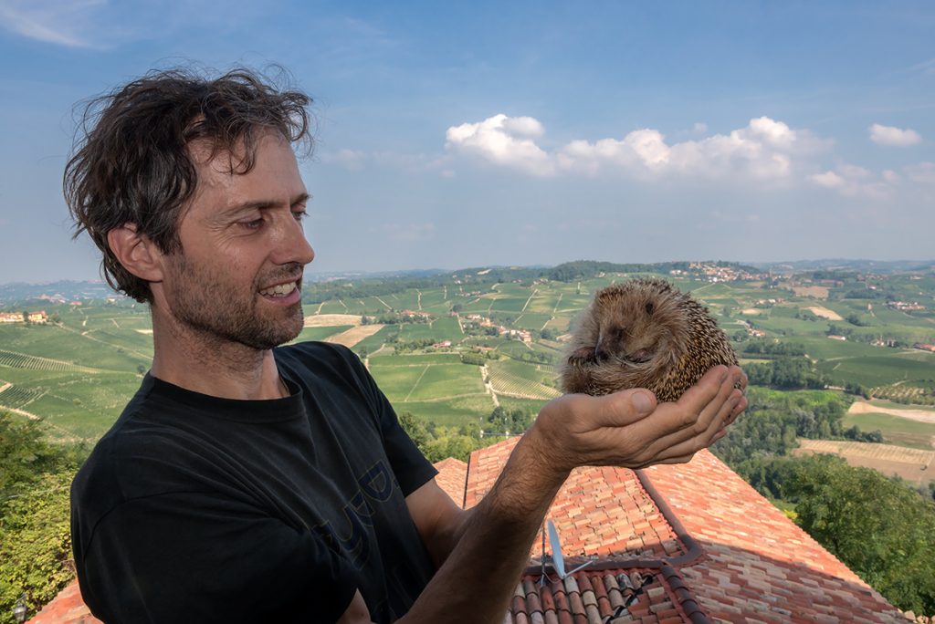 Massimo Vacchetta: arriva l'armata dei ricci!