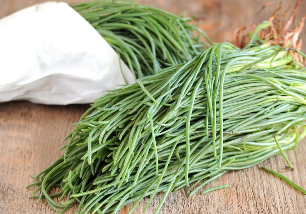 Agretti